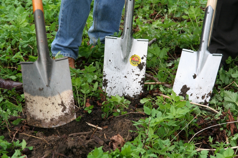 pepiniere-ILONSE-min_work-lawn-flower-tool-green-backyard-1103633-pxhere.com